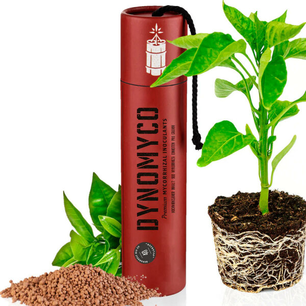 DYNOMYCO Mycorrhizal Inoculant,  Stick 200g
