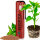 DYNOMYCO Mycorrhizal Inoculant,  Stick 200g