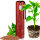 DYNOMYCO Mycorrhizal Inoculant,  Stick 200g