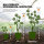 DYNOMYCO Mycorrhizal Inoculant,  Stick 200g