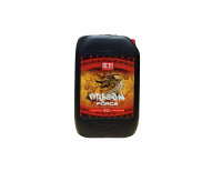 Shogun Dragon Force 25L