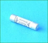 Sicherung für 250 - 400 W SAS-System, 5 Ampere, 25,4...