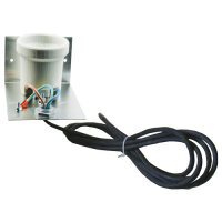 Bügel mit Fassung und 4 m Kabel