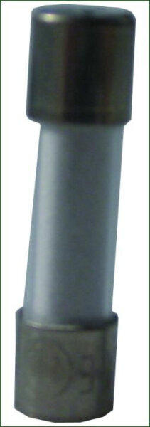 Sicherung 1,5 A, 5 x 20 mm, für PK-Control Klima Controller, 2 x 380 W Dauerlei