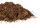 CANNA Terra Professional Plus, Substrat, 50 L