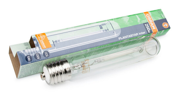 Osram Planta-Star 250 W, erhöhter Blauanteil, für Wachstum und Blüte