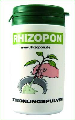 Rhizopon, Stecklingshormon, 0,25 %, Pulver, 20 g  !!! NUR FÜR DEN EXPORT !!!