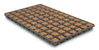 Eazy Plug®, Stecklingsblöcke, Tray à 77 St., 3,5 x 3,5 cm