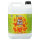 GHE BioBud, Blütestimulator, 10 L