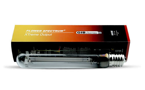 GIB Lighting Flower Spectrum XTreme Output HPS Lampe, 600 W, 230 V