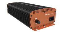 GIB Lighting NXE 1000 W, elektronisches...