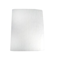 CarbonActive HL Pre Filter AKF 300/ Pollen Filter...