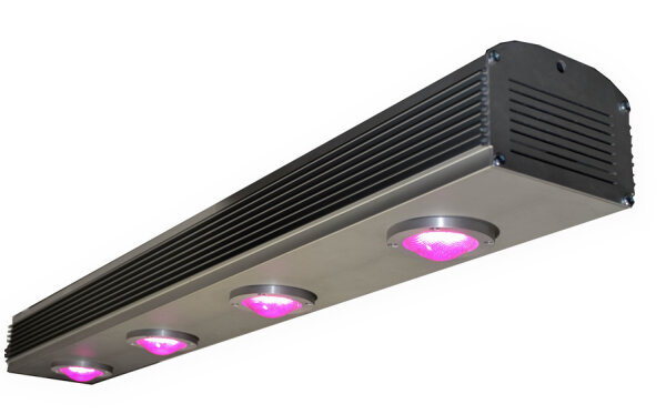 PlantLED Melior, LED-Leuchte, 320 W