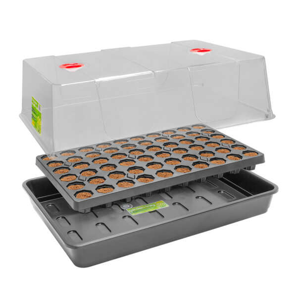 ROOT!T Anzucht-Set, incl. 60er Tray Anzuchtwürfel, torffrei + Gewächshaus