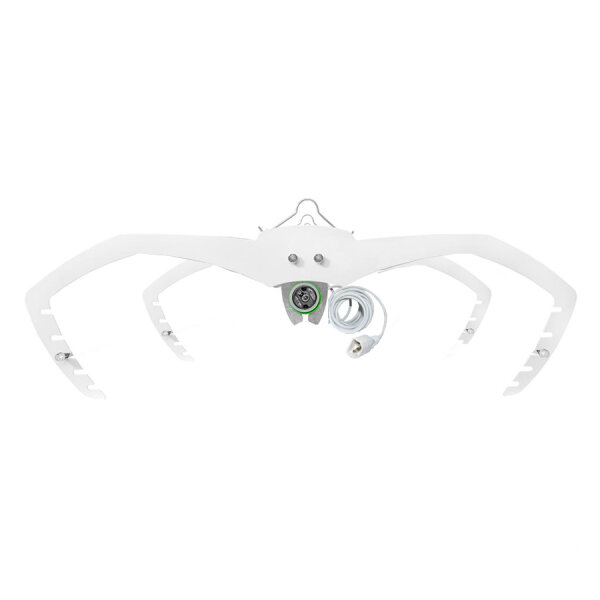 PowerPlant Mantis Spine & Cord Set, single ended