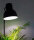 E27 LED 4000K Grow Light - 16W