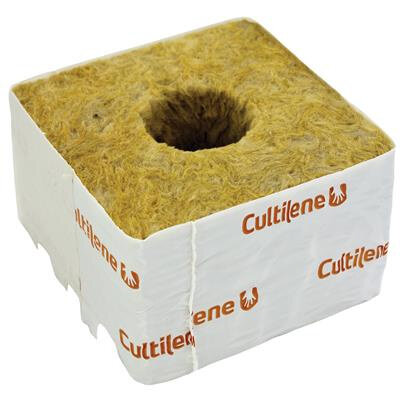 Cultilene 100 mm Steinwollwürfel, großes Loch (38/35)